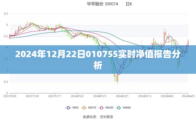 关于日期净值报告的分析与解读,聚焦实时数据