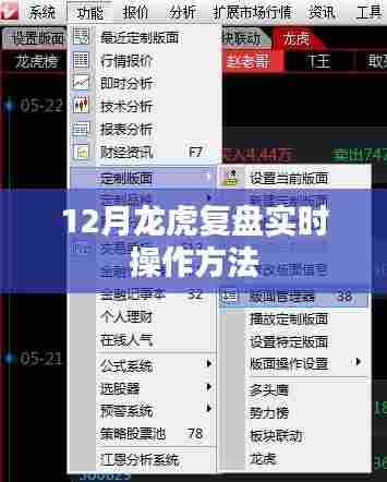 揭秘龙虎复盘,实时操作指南