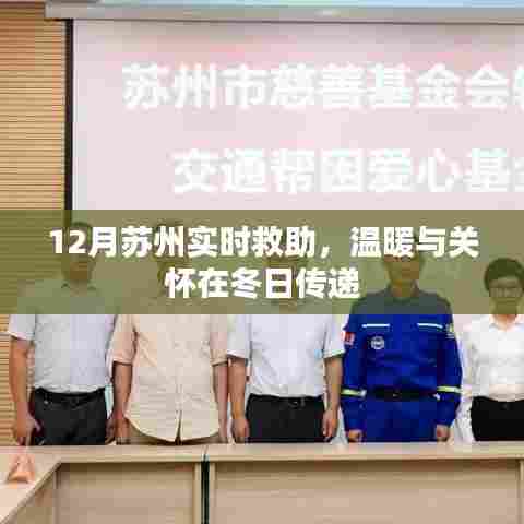 苏州冬日救助行动,传递温暖与关怀