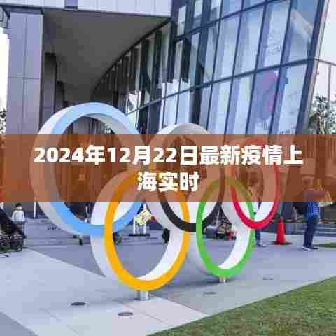 上海疫情实时更新，最新动态及防控措施