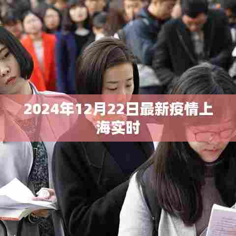 上海疫情实时更新,最新动态及防控措施