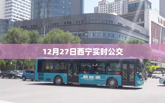 眼张失道 第3页