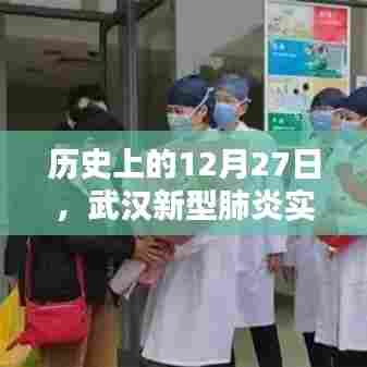 武汉新型肺炎实时报表,历史数据回顾与最新动态