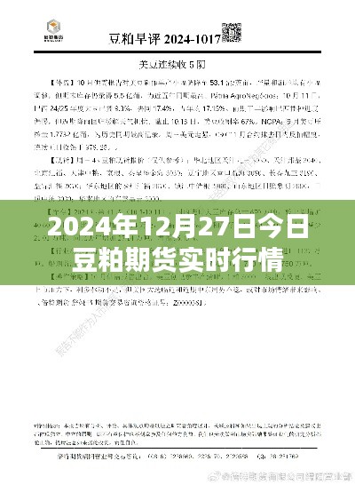 豆粕期货实时行情分析(最新动态)