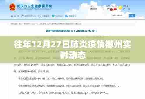 郴州肺炎疫情实时动态更新,历年12月27日情况回顾