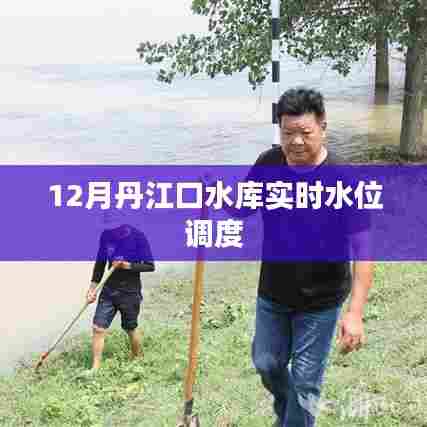 丹江口水库实时水位调度信息更新