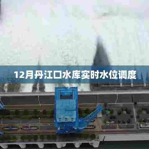 丹江口水库实时水位调度信息更新