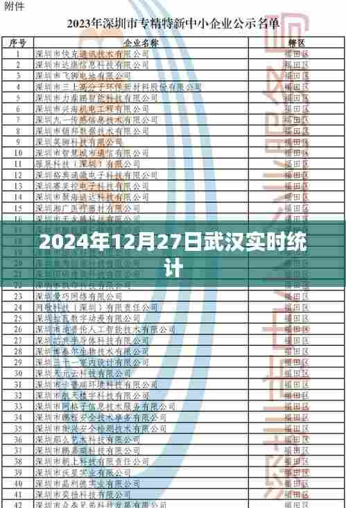 武汉实时统计,2024年12月27日数据报告