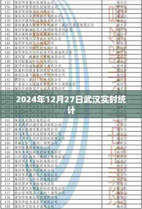 武汉实时统计,2024年12月27日数据报告