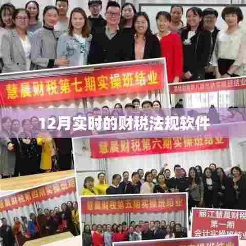 实时财税法规软件更新解读，12月最新动态