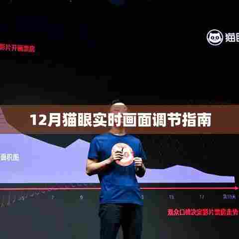 猫眼实时画面调节指南,12月操作指南