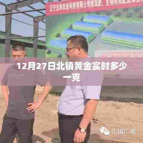 鸟穷则啄 第2页