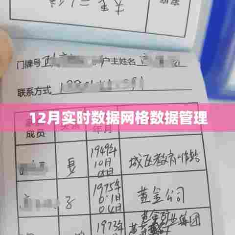 实时数据网格管理,12月数据洞察