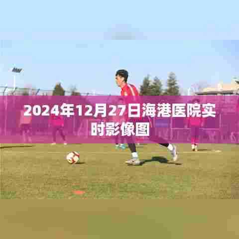 海港医院实时影像图(日期标注)