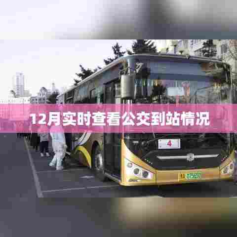 实时查看公交到站情况,掌握出行时间!