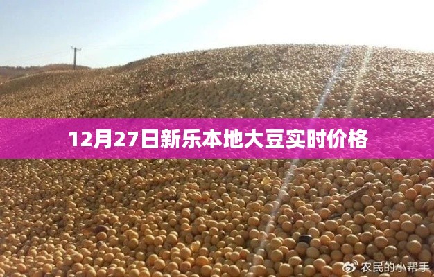 新乐大豆实时价格播报(12月27日)