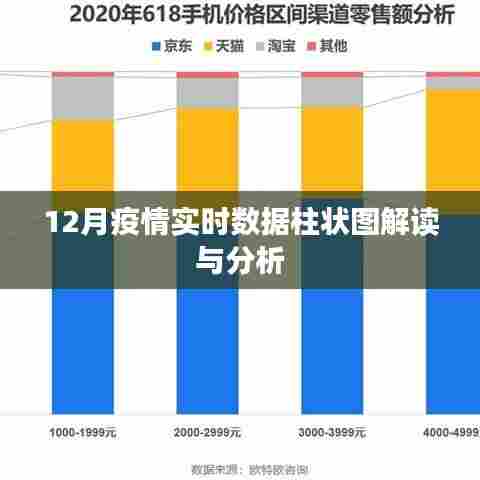 12月疫情实时数据解读与分析,柱状图揭示趋势
