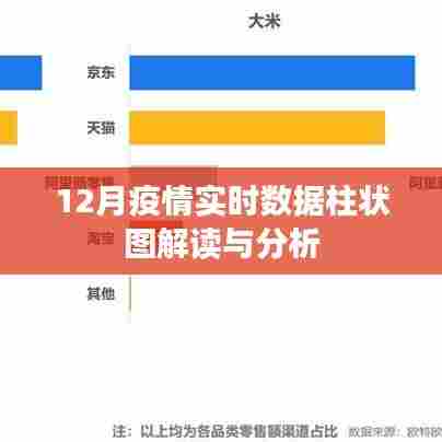 12月疫情实时数据解读与分析,柱状图揭示趋势