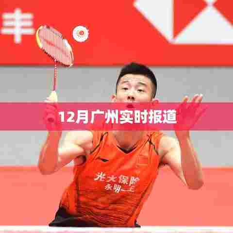 广州最新实时报道，十二月动态