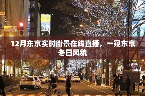 东京冬季街景直播,实时感受冬日风情