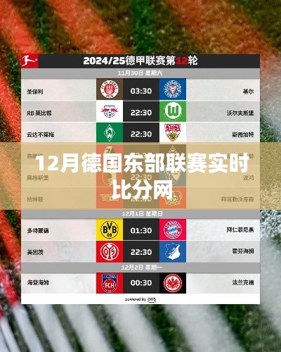 德国东部联赛12月实时比分在线