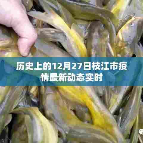 枝江市疫情最新动态实时播报，历史时间线下的数据更新