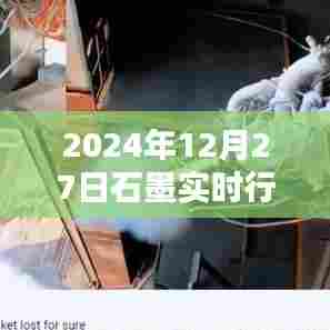 石墨行情分析图，实时动态，洞悉未来市场趋势