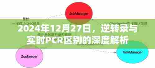 逆转录与实时PCR技术差异的深度解析