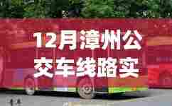 漳州公交实时查询系统,12月线路更新