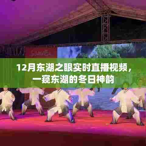 东湖之眼冬令时节直播，探寻冬日神韵