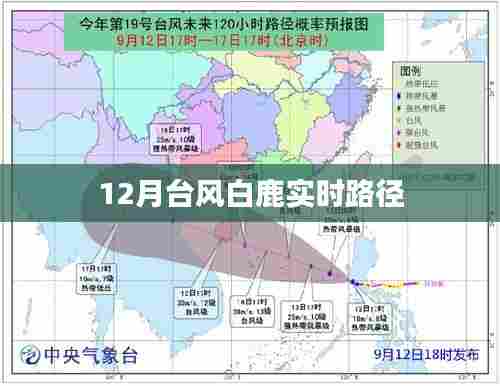 台风白鹿实时路径追踪报道