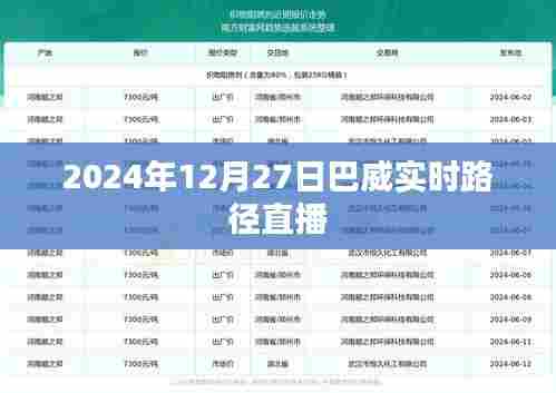 巴威实时路径直播，关注天气动态，掌握未来信息