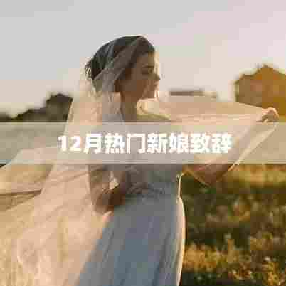 12月新娘感人致辞,婚礼上的温情瞬间