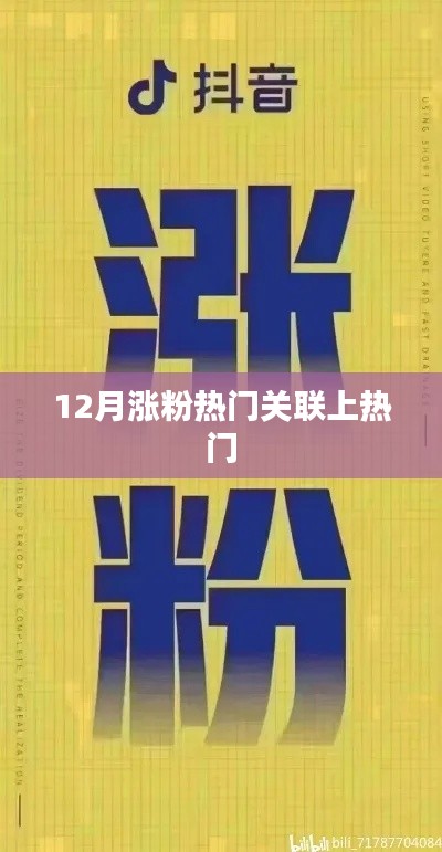 揭秘热门涨粉秘诀,揭秘关联上热门背后的秘密