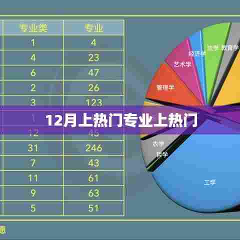 热门专业聚焦,揭秘十二月大热专业趋势