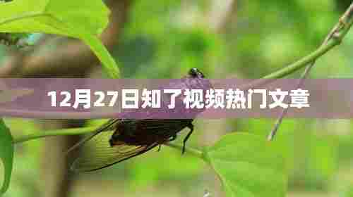 12月27日知了视频热点文章盘点