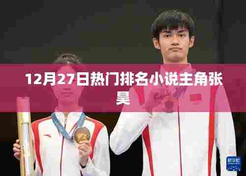 张昊,热门排名小说的焦点人物