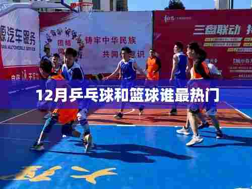 乒乓球与篮球的热门对决，十二月谁领先？