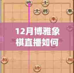 博雅象棋直播，揭秘上热门秘诀，12月直播攻略！