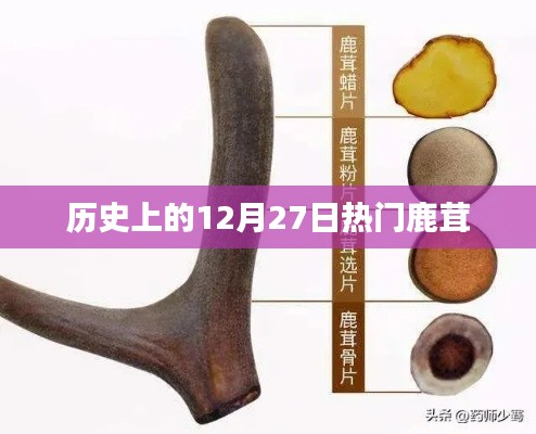 鹿茸历史,探寻十二月二十七日的热门时刻