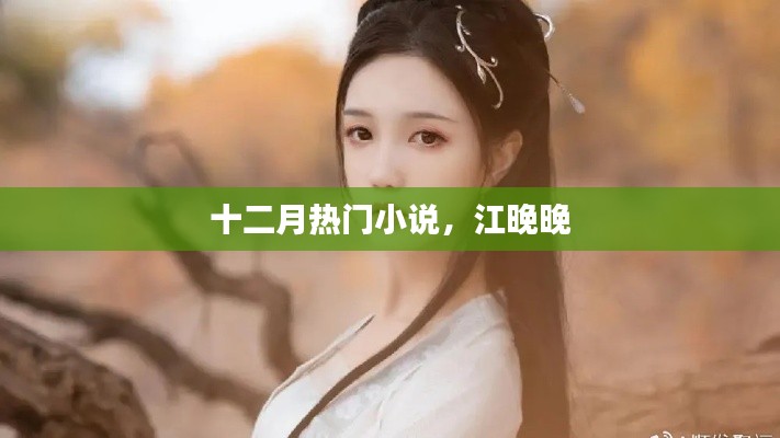十二月热门小说推荐,江晚晚之奇幻旅程