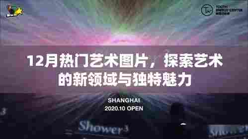 12月艺术图片大热,新领域与独特魅力的探索