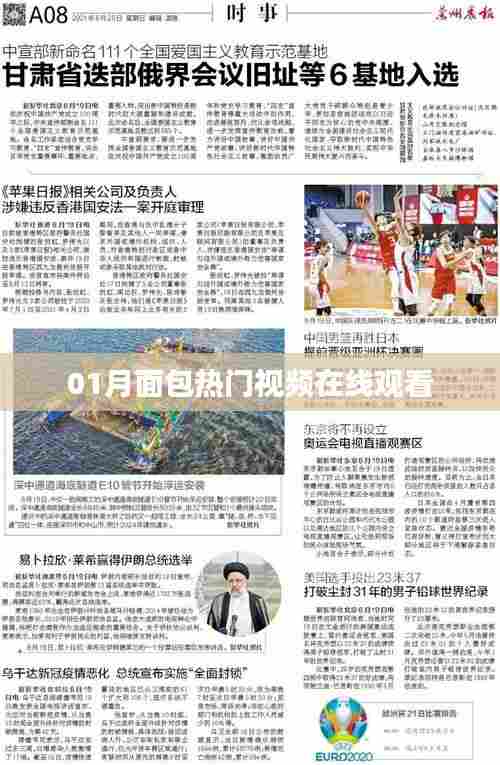 热门面包视频在线观看,一月精选合集