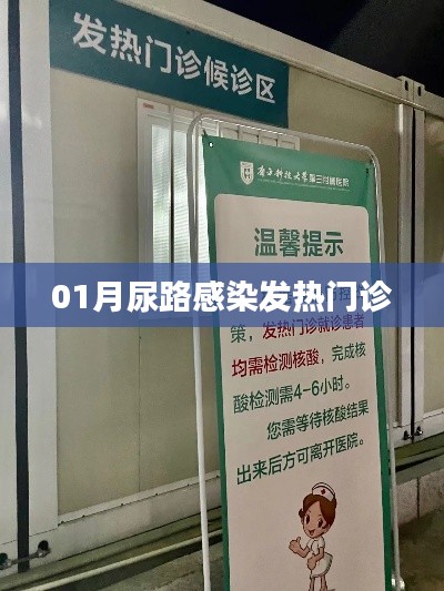 尿路感染发热就诊指南