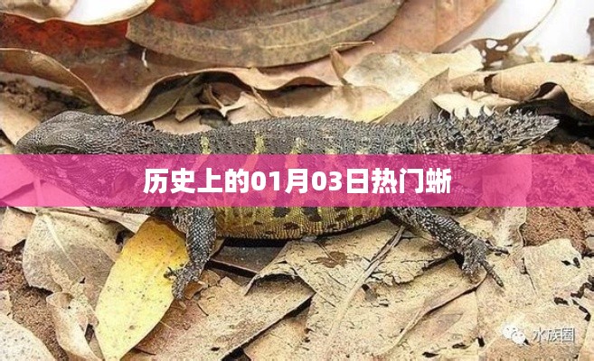 历史上的热门蜥,一月三日揭秘