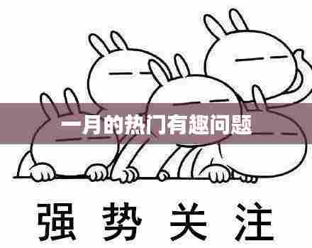 一月热门趣味问题盘点