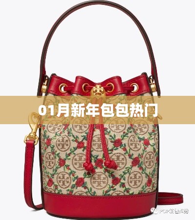 新年包包流行趋势解析