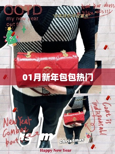 新年包包流行趋势解析