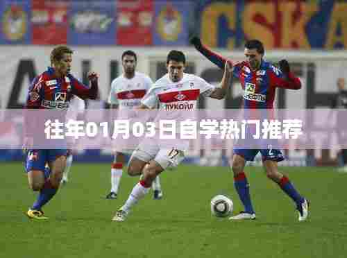 往年元旦后自学热门推荐