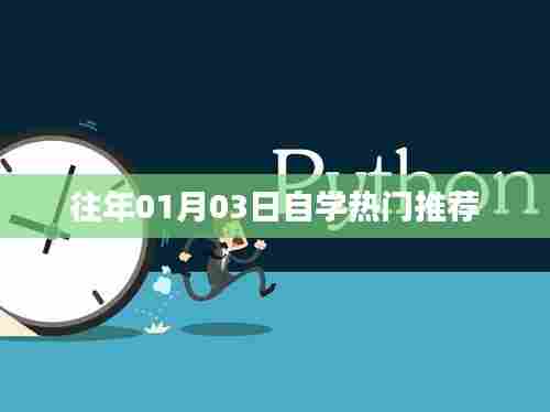 往年元旦后自学热门推荐